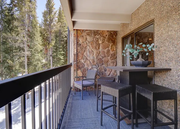 Apartment Cm325 Twenty Nine Copper Mtn Inn- Pet Friendly Copper Mountain