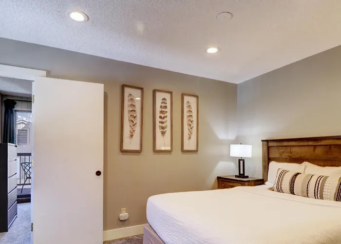 Cm325 Twenty Nine Copper Mtn Inn- Pet Friendly Apartment *